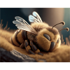Cute animals doing hibernation – bee
