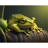 Cute animals doing hibernation – frog