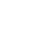 Alter 65