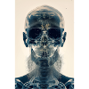 x-ray hipster skull