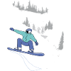 Snowboard, Winter Sports