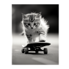 Skating Kitty