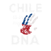 chile print