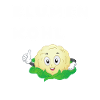 Blumenkohl