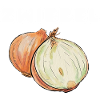 Zwiebel