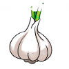 Knoblauch