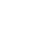 Année du Dragon 2024