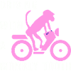 Driving with a monkey tooth - Affenzahn