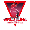 Wrestler Insane Wrestling
