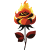 Hot Rose