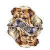 Dog Sayings Dog Dogs Bulldog