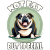 Not fat but special