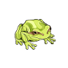 Tree frog