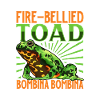 Fire-bellied toad