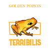 Golden Poison Dart Frog