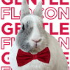 Gentle Flocon