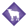 Cow Milk Cow