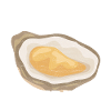 Oysters Oyster Lovers