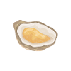 Oysters Oyster Lovers