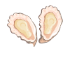 Oysters Oyster Lovers