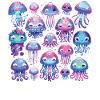 Jellyfish