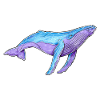 Baleine à bosse aquarelle