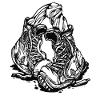 Sports Boots