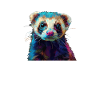 cute ferret