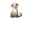 ferret mom