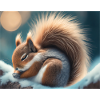 Cute animals doing hibernation – squirrel