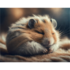 Cute animals doing hibernation – hamster