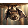 Cute animals chilling – bat