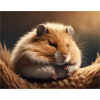 Cute animals doing hibernation – hamster