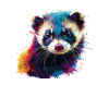 ferret illustration