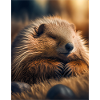 Cute animals doing hibernation – marmot