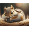 Cute animals doing hibernation – chipmunk