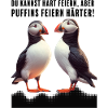 Puffin Party