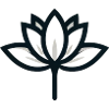 Minimalist plant