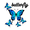 Blue Butterflies on Midnight Black