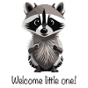 raccoon