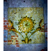 PSX 20231228 031645