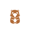Humour petit castor