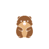 Humour petit castor