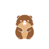 Humour petit castor