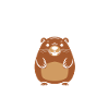 Humour petit castor