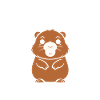 Humour petit castor