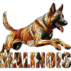 Belgian Malinois - Mosaic Art