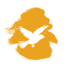 Ailes, Oiseau, Volée D’oiseaux