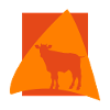 Milk Cow Cow