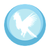 Bird Parrot Cockatoo